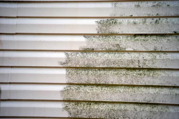 Best Dumpster Rental Services  in Hanover, IN